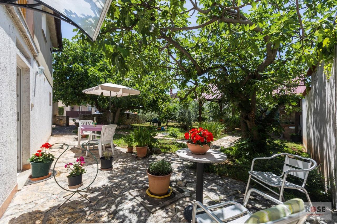 Apartment Laureta 포레치 객실 사진